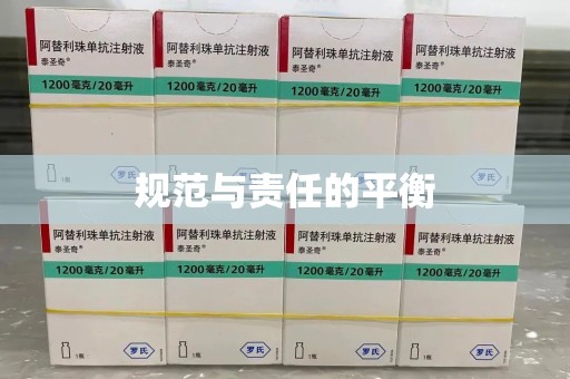 三亚规范与责任的平衡