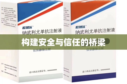 三亚构建安全与信任的桥梁