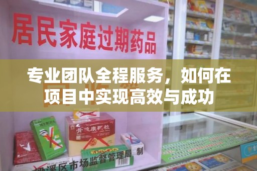 三亚专业团队全程服务，如何在项目中实现高效与成功