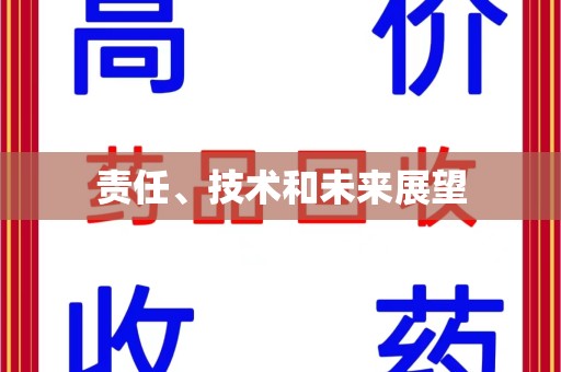 三亚责任、技术和未来展望