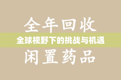 三亚全球视野下的挑战与机遇