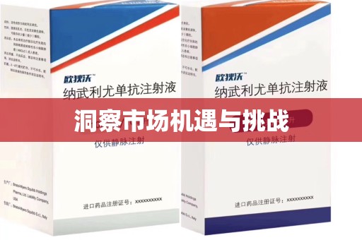 三亚洞察市场机遇与挑战