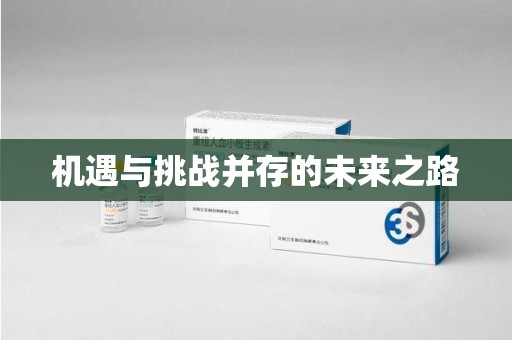 三亚机遇与挑战并存的未来之路