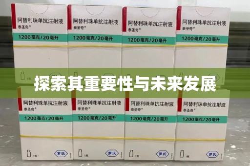 三亚探索其重要性与未来发展