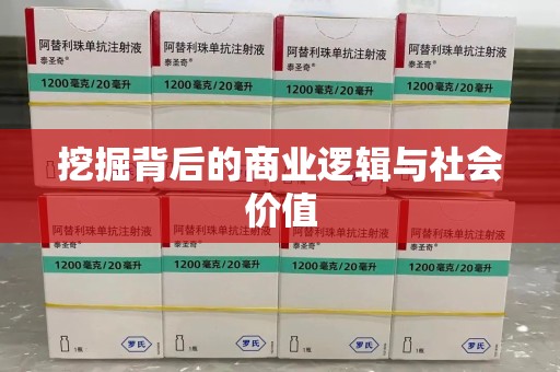 三亚挖掘背后的商业逻辑与社会价值