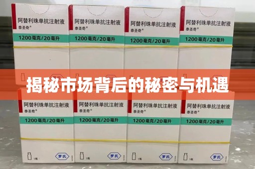 三亚揭秘市场背后的秘密与机遇