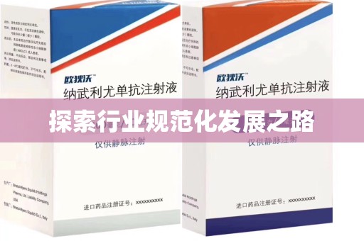 三亚探索行业规范化发展之路