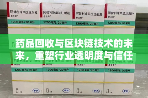 三亚药品回收与区块链技术的未来，重塑行业透明度与信任