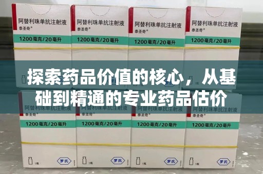 三亚探索药品价值的核心，从基础到精通的专业药品估价