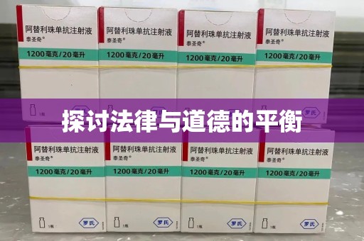 三亚探讨法律与道德的平衡