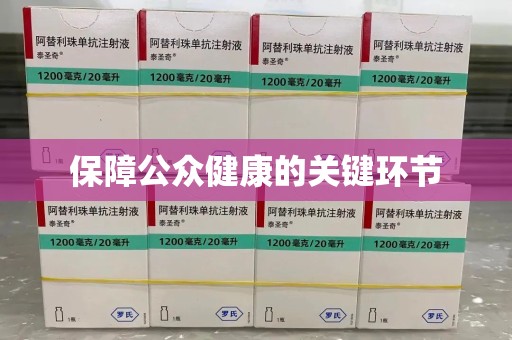 三亚保障公众健康的关键环节